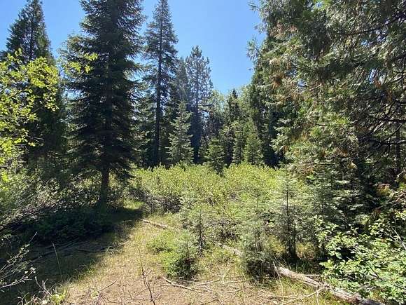 2.5 Acres of Residential Land for Sale in McCloud, California