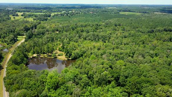 54 Acres of Land for Sale in Brantley, Alabama
