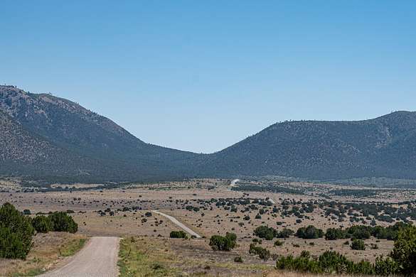 4,193 Acres of Land for Sale in Capitan, New Mexico
