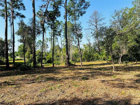 1 Acre of Residential Land for Sale in Deltona, Florida