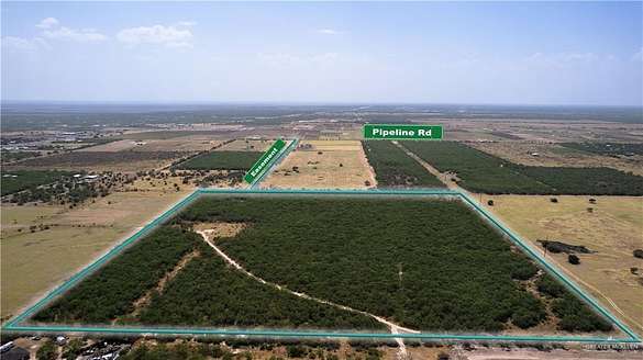 43.4 Acres of Land for Sale in Sullivan City, Texas