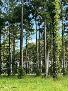 0.6 Acres of Residential Land for Sale in Oriental, North Carolina