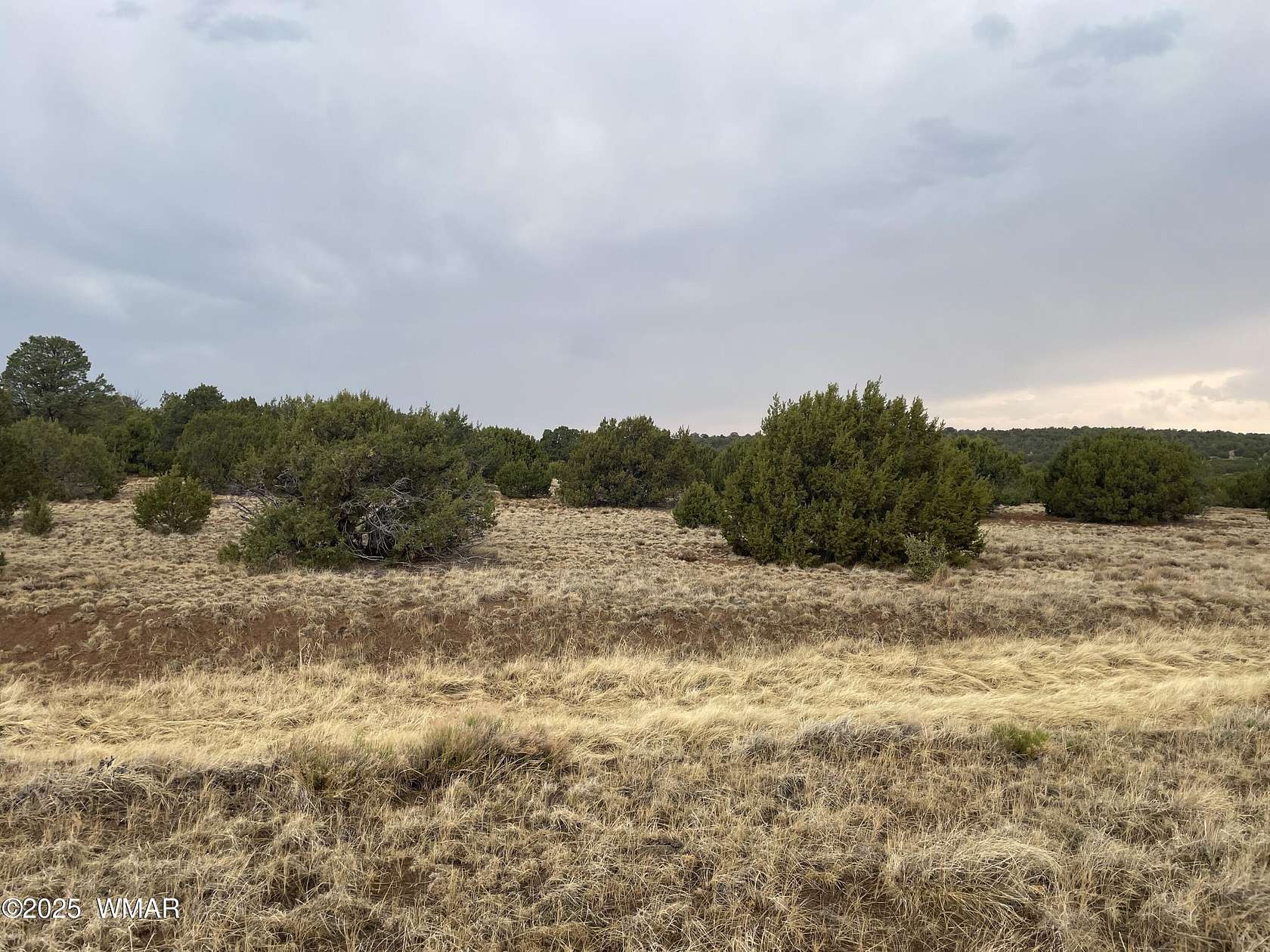 1.14 Acres of Land for Sale in Concho, Arizona