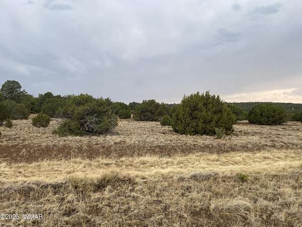 1.14 Acres of Land for Sale in Concho, Arizona