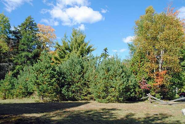 12.8 Acres of Mixed-Use Land for Sale in Saranac Lake, New York