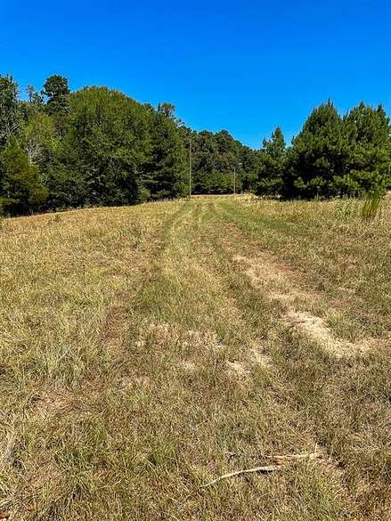 78 Acres of Recreational Land for Sale in Cushing, Texas