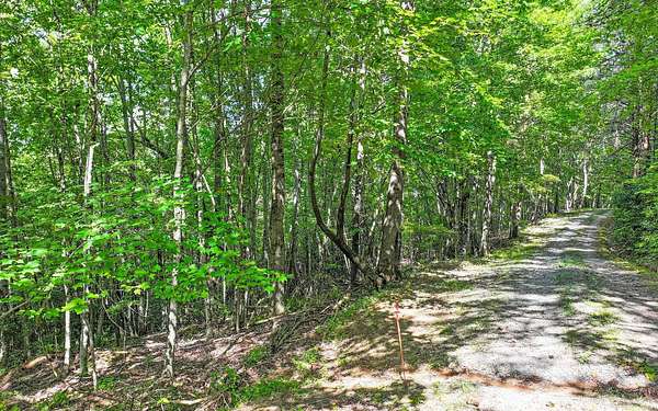 2.79 Acres of Land for Sale in Mineral Bluff, Georgia