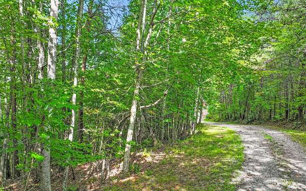 2.67 Acres of Residential Land for Sale in Mineral Bluff, Georgia