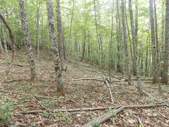 4.6 Acres of Residential Land for Sale in Dugspur, Virginia