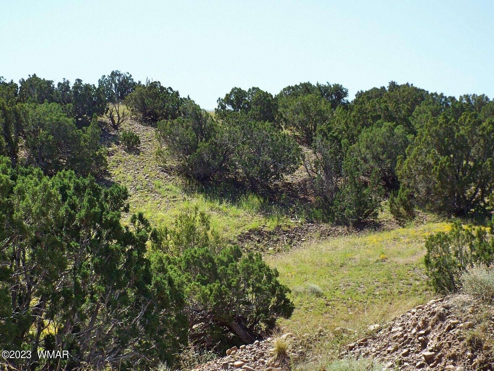 36.1 Acres of Recreational Land for Sale in Concho, Arizona