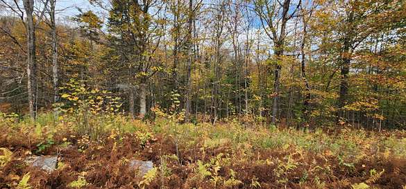 31 Acres of Land for Sale in Orange, Vermont
