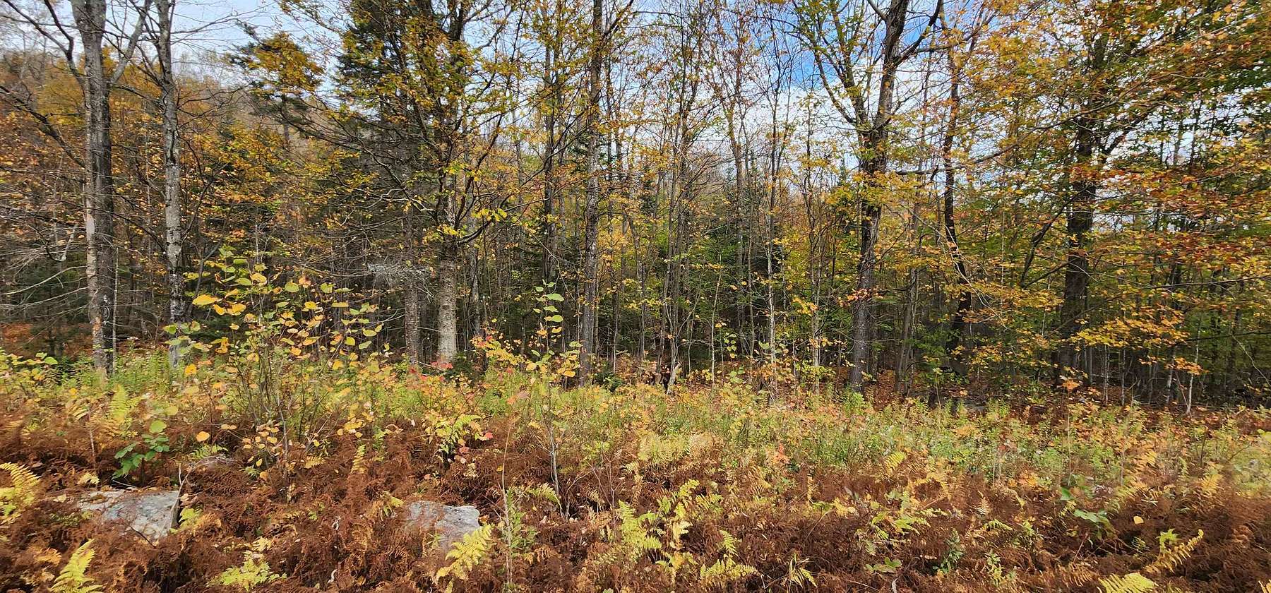 112 Acres of Land for Sale in Orange, Vermont