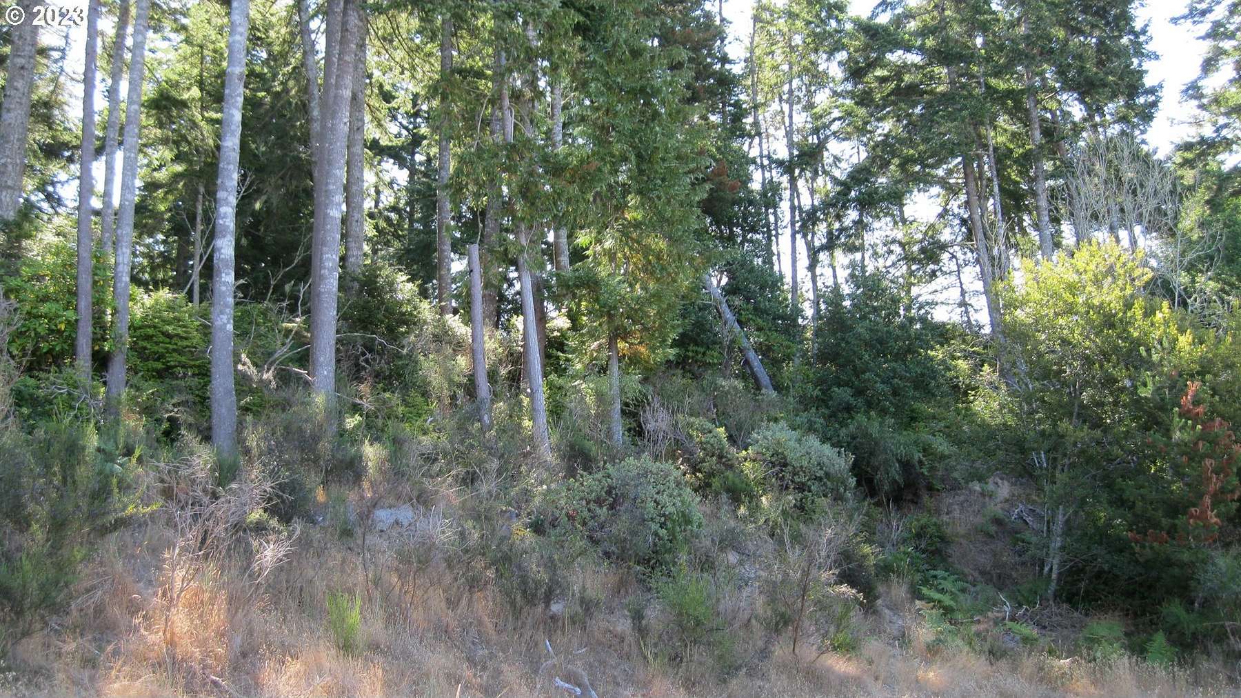 0.06 Acres of Residential Land for Sale in North Bend, Oregon