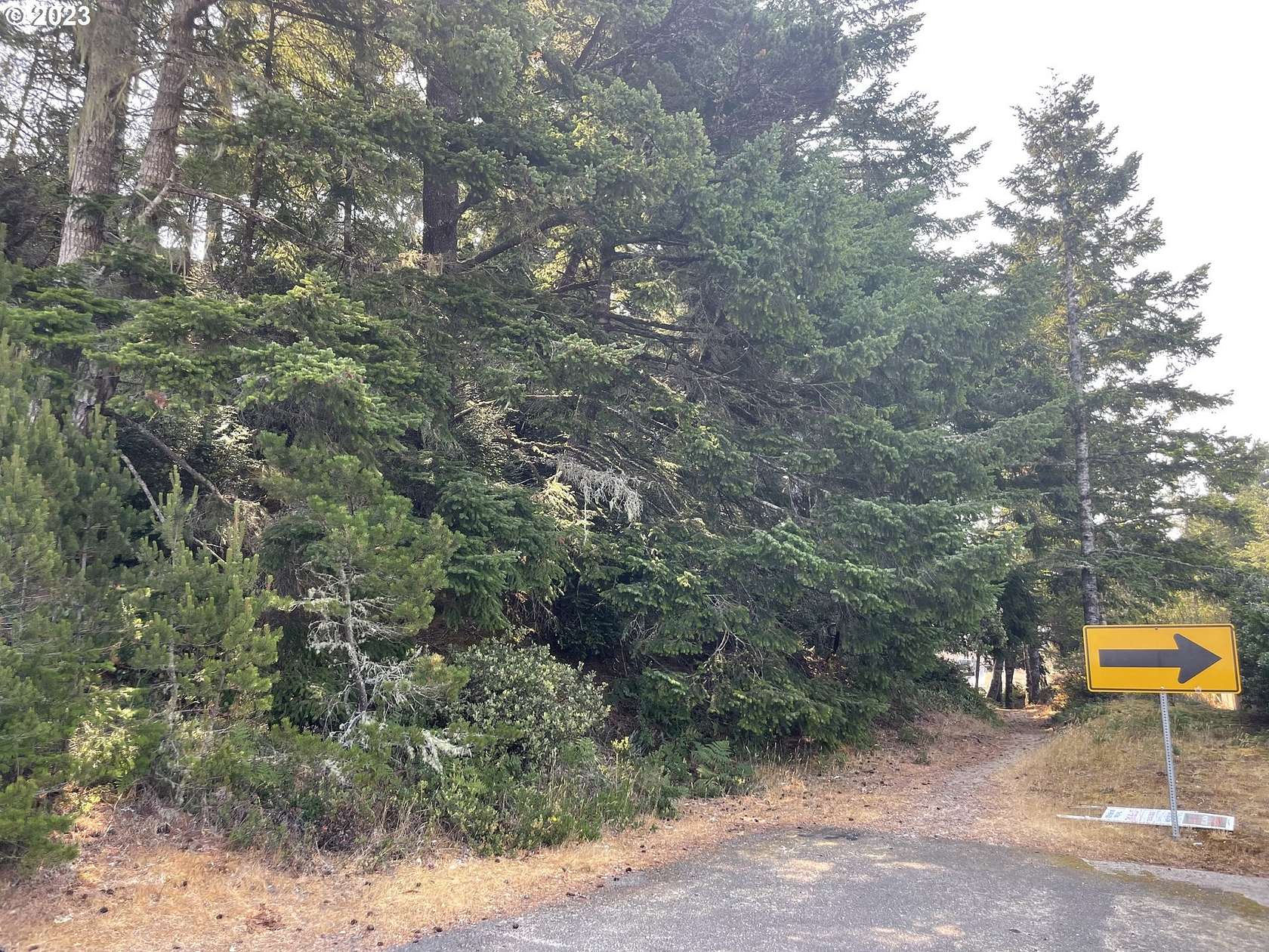 0.39 Acres of Residential Land for Sale in Florence, Oregon