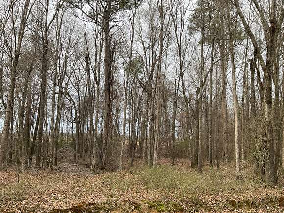 63.4 Acres of Recreational Land for Sale in Florence, Arkansas