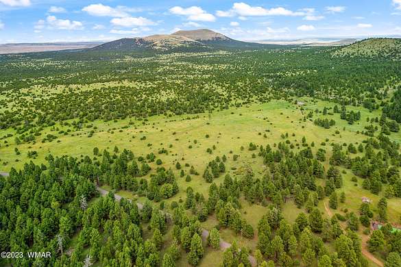 37 Acres of Land for Sale in Vernon, Arizona