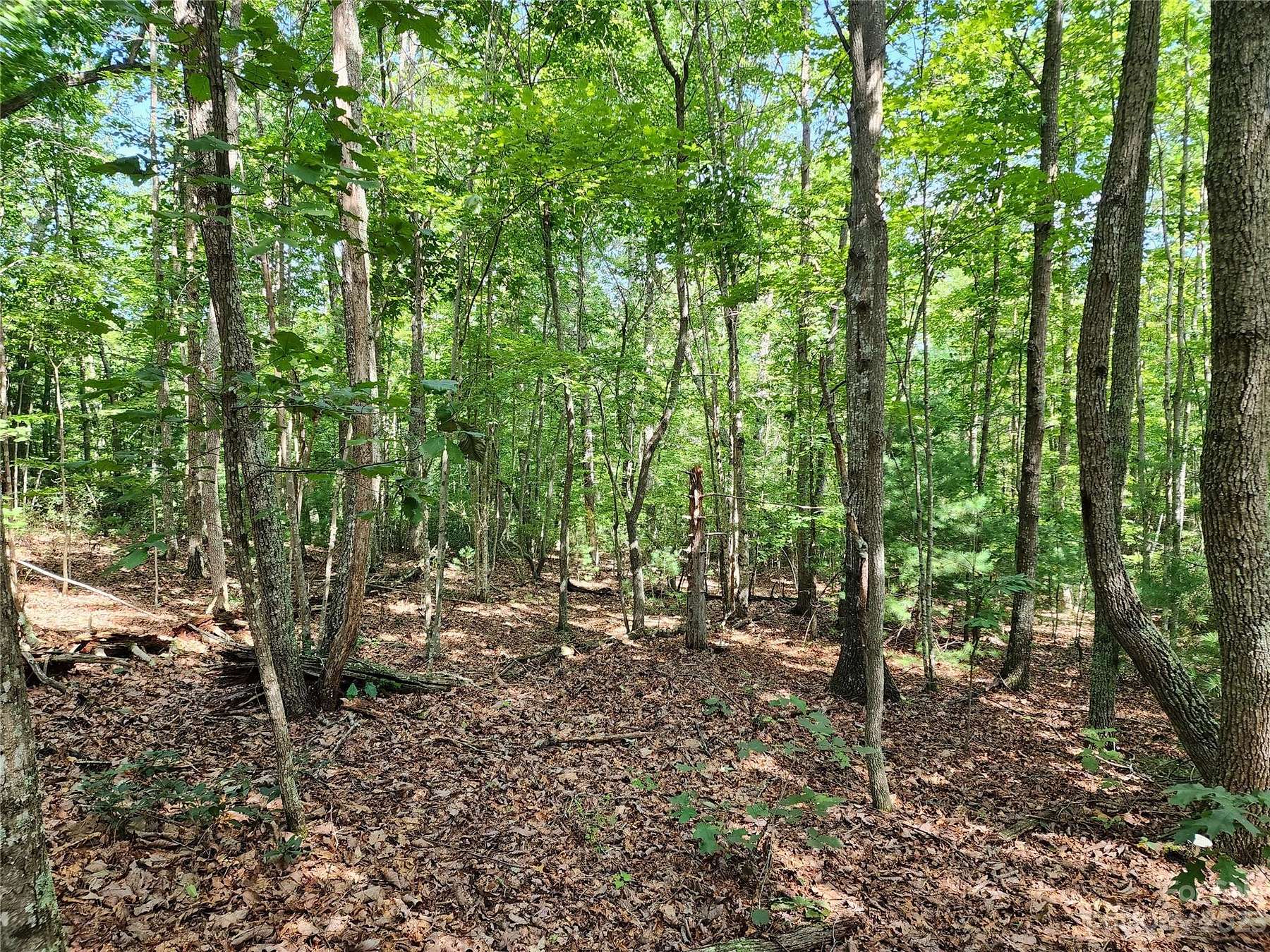 2.92 Acres of Residential Land for Sale in Connelly Springs, North Carolina