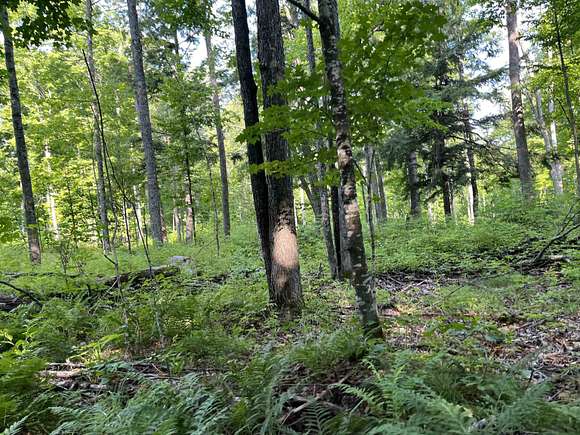 120 Acres of Land for Sale in Wabeno, Wisconsin