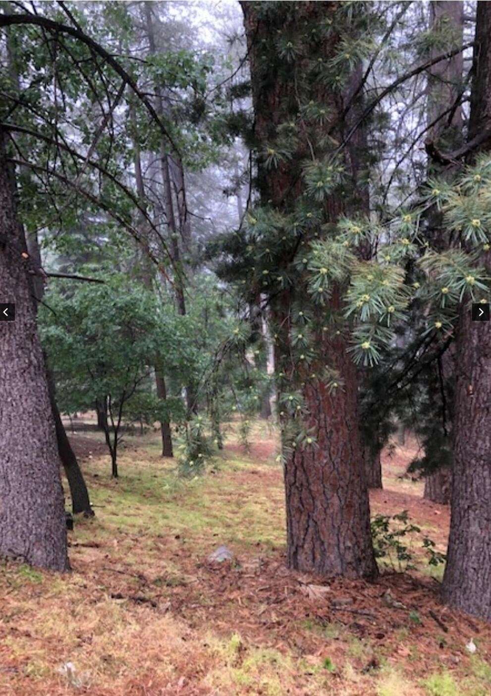 0.2 Acres of Residential Land for Sale in Lake Arrowhead, California