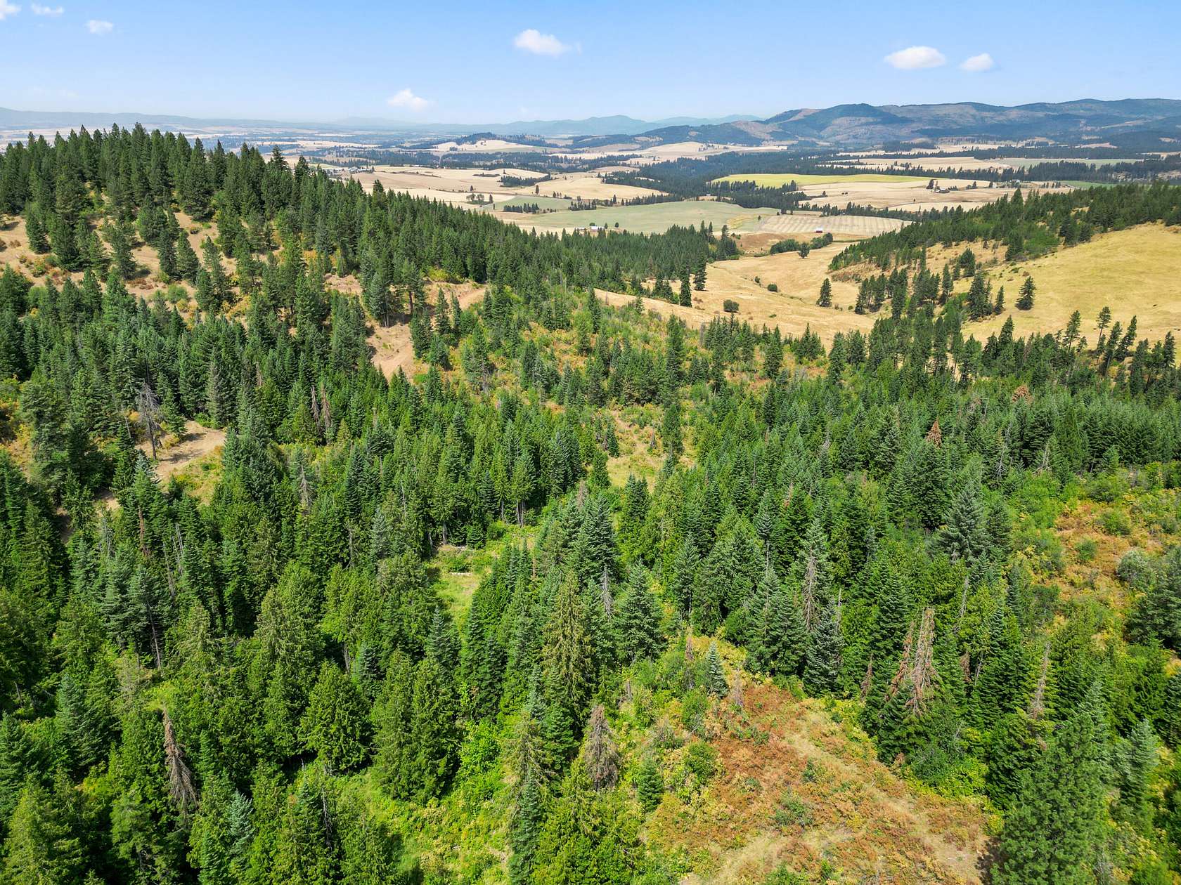 40.5 Acres of Recreational Land for Sale in Kendrick, Idaho