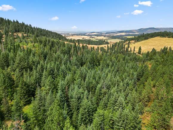 40.5 Acres of Recreational Land for Sale in Kendrick, Idaho