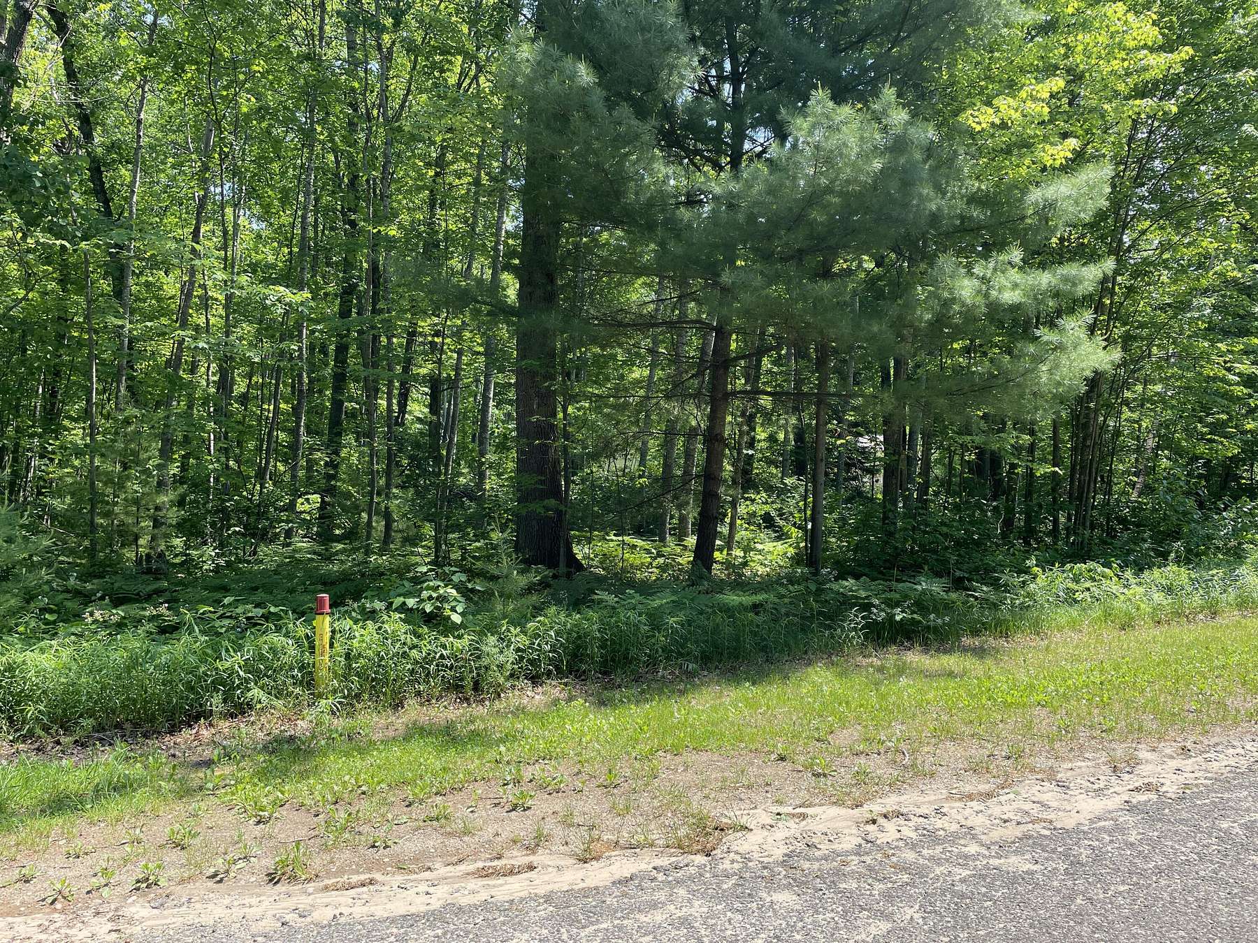Land for Sale in Roscommon, Michigan