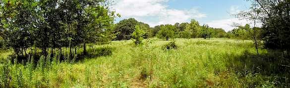 139 Acres of Recreational Land & Farm for Sale in Blue, Oklahoma