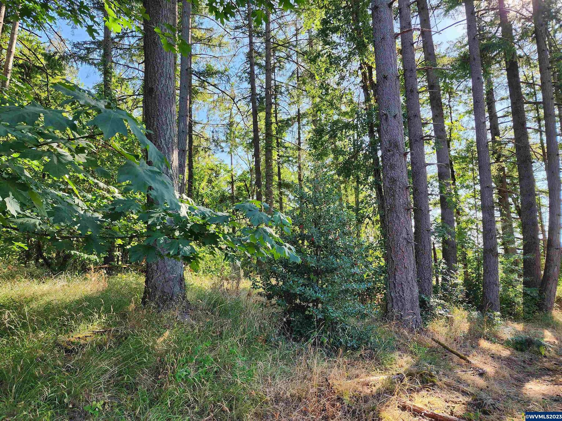 0.97 Acres of Residential Land for Sale in Albany, Oregon