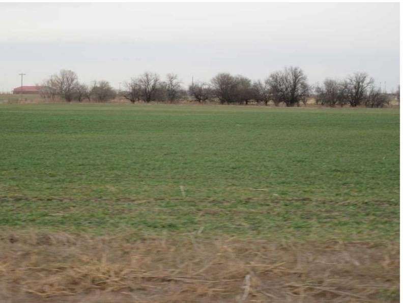 80 Acres of Agricultural Land for Sale in Medford, Oklahoma