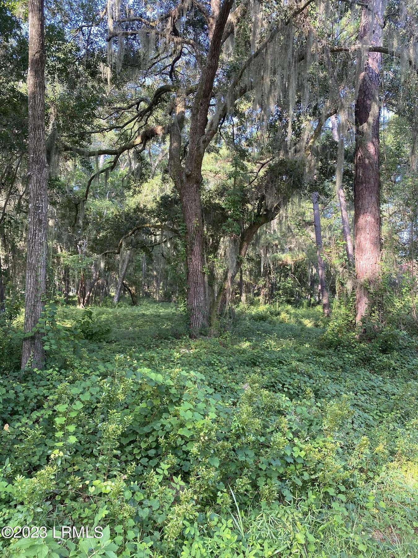 1.26 Acres of Residential Land for Sale in Saint Helena Island, South Carolina