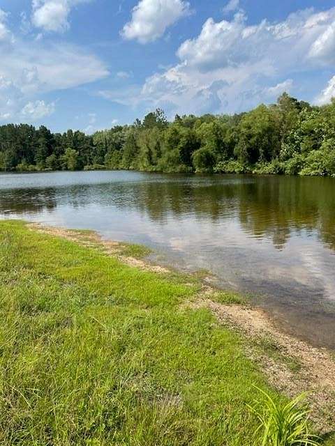 80 Acres of Recreational Land for Sale in Beaumont, Mississippi