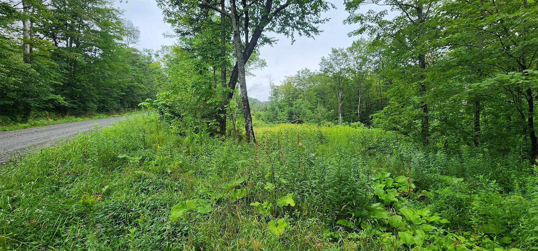 28 Acres of Land for Sale in Orange, Vermont