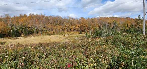 610 Acres of Land for Sale in Orange, Vermont