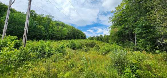 44 Acres of Land for Sale in Orange, Vermont
