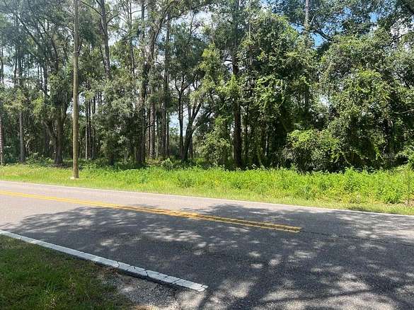 0.2 Acres of Land for Sale in Webster, Florida