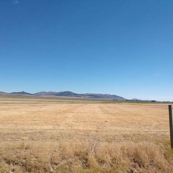 40 Acres of Land for Sale in Stone, Idaho