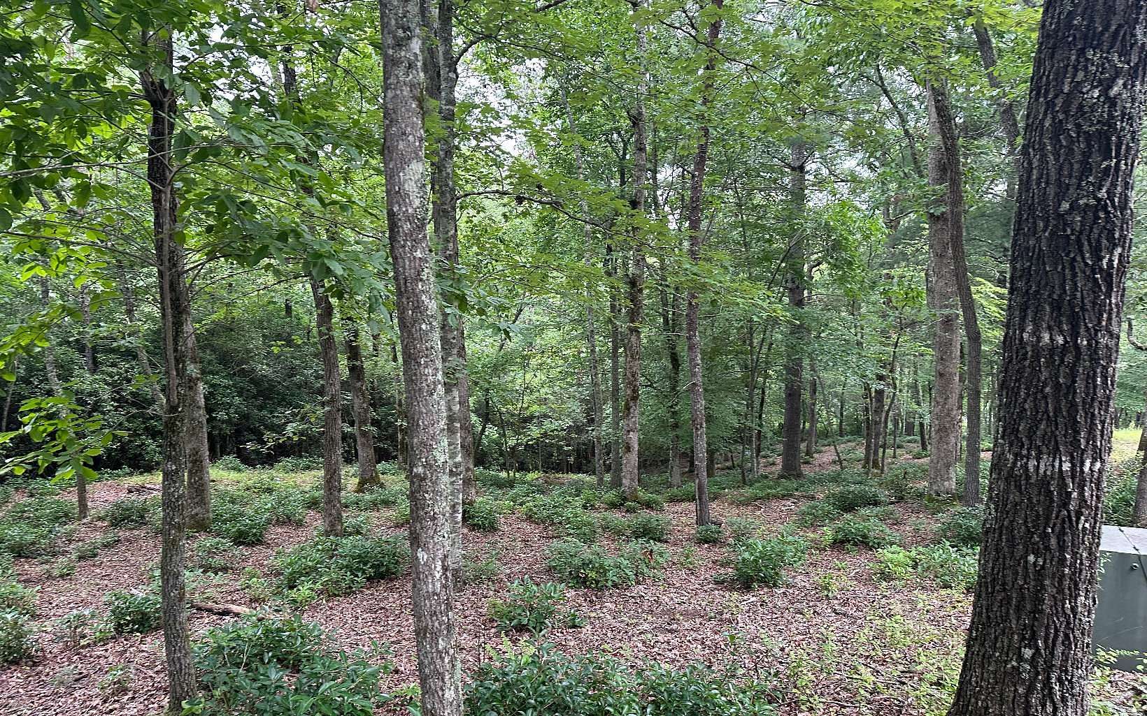 1.01 Acres of Residential Land for Sale in Brasstown, North Carolina
