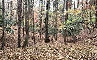 0.5 Acres of Residential Land for Sale in Ellijay, Georgia