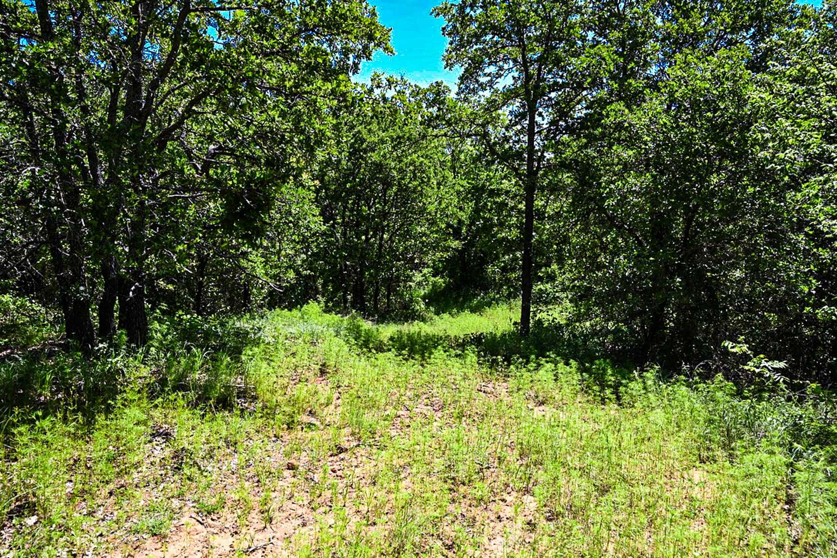 85.8 Acres of Land for Sale in Perrin, Texas