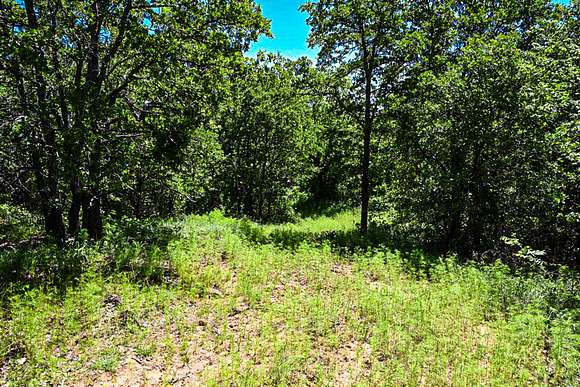 85.8 Acres of Land for Sale in Perrin, Texas