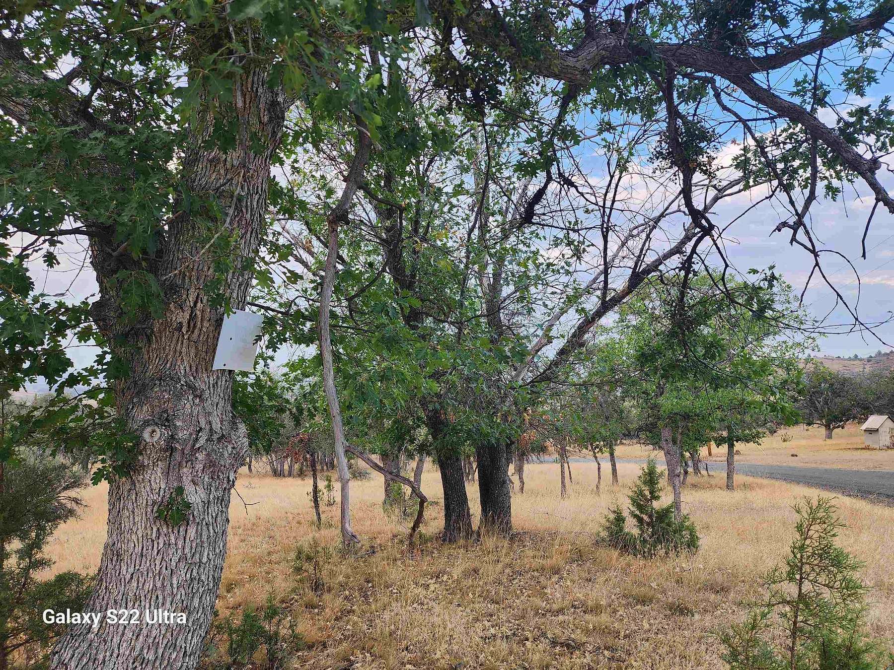 1.3 Acres of Residential Land for Sale in Hornbrook, California