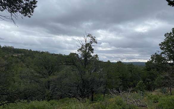 0.67 Acres of Residential Land for Sale in Timberon, New Mexico