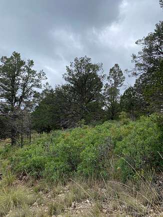 0.67 Acres of Residential Land for Sale in Timberon, New Mexico