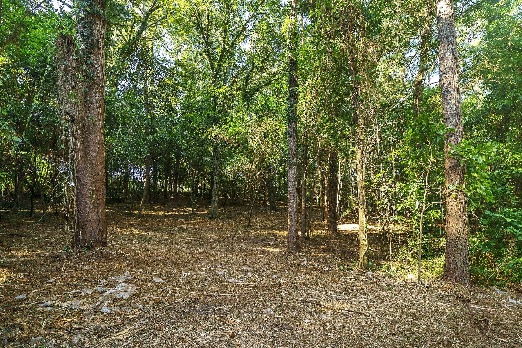 0.55 Acres of Residential Land for Sale in Aiken, South Carolina