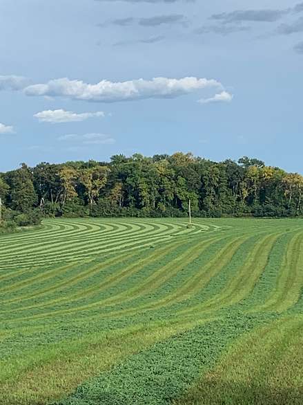 40 Acres of Agricultural Land for Sale in Cologne, Minnesota