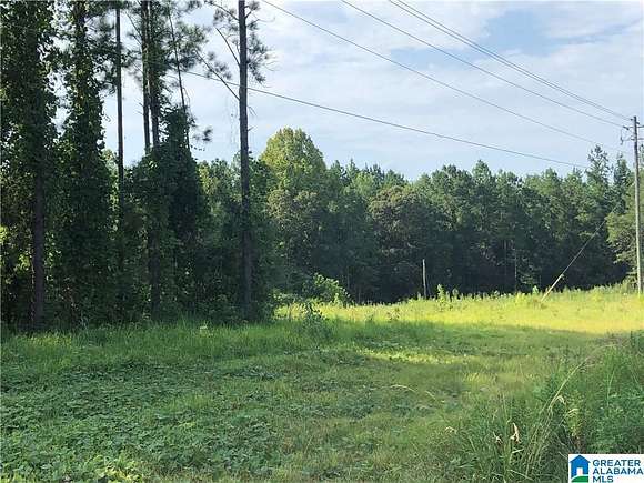 29.2 Acres of Land for Sale in Gilbertown, Alabama