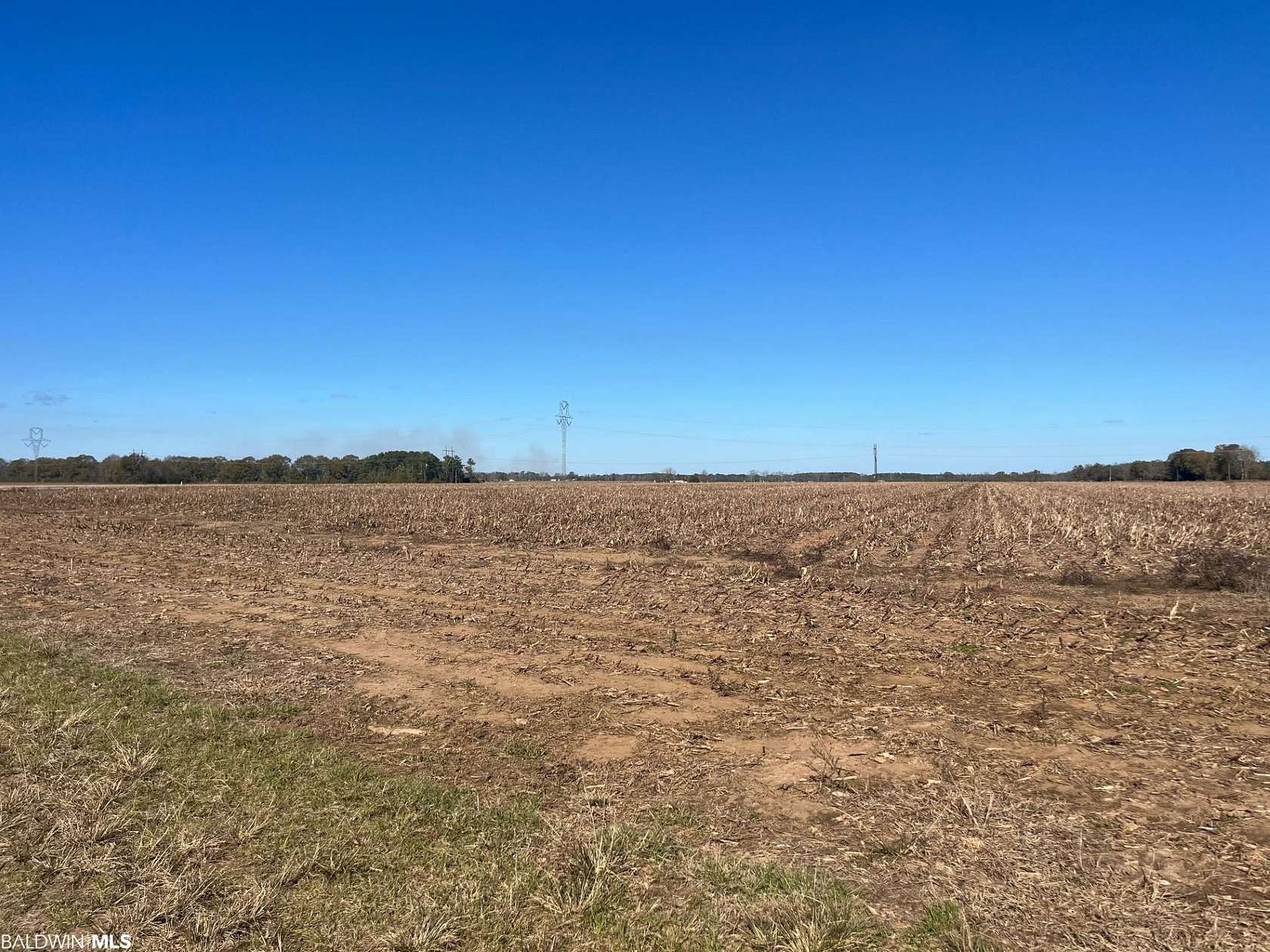 56 Acres of Agricultural Land for Sale in Atmore, Alabama