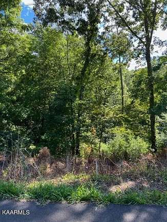 0.89 Acres of Land for Sale in New Tazewell, Tennessee