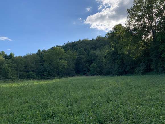 13 Acres of Land for Sale in Hazel Green, Kentucky