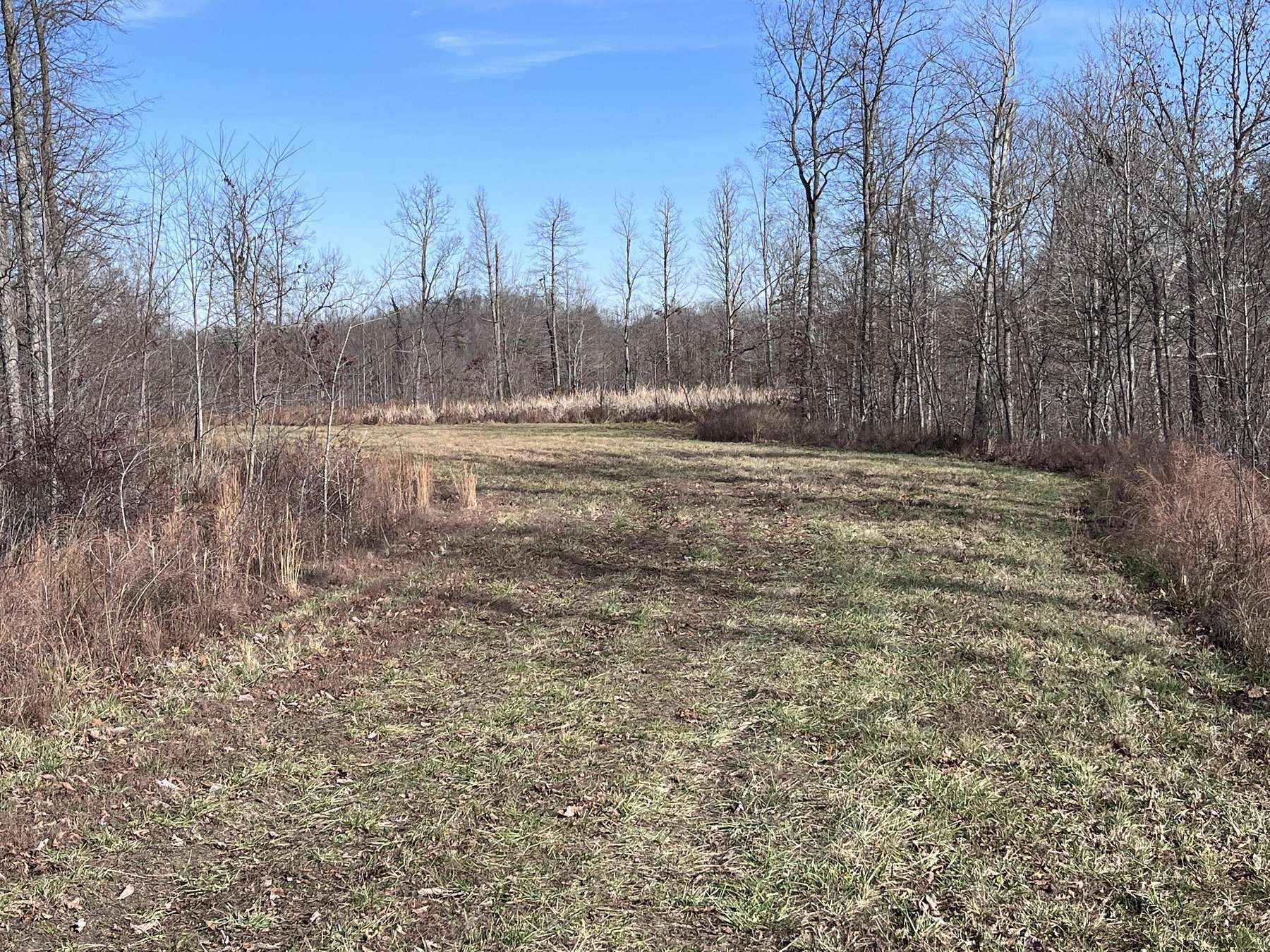 17.3 Acres of Recreational Land for Sale in Booneville, Kentucky